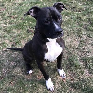 Meet your Posher, Matt